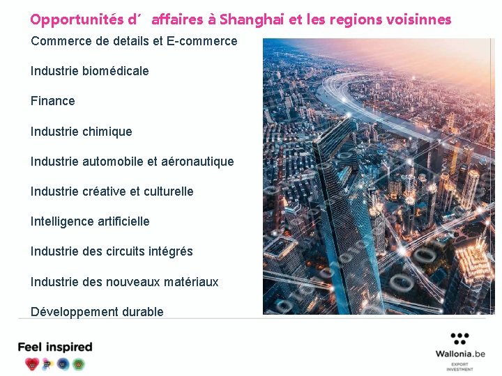 Opportunités d’affaires à Shanghai et les regions voisinnes Commerce de details et E-commerce Industrie