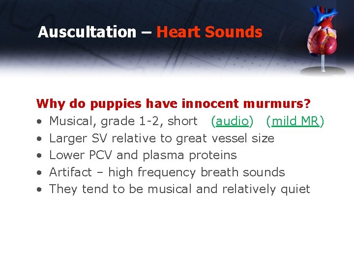 Auscultation – Heart Sounds Why do puppies have innocent murmurs? • Musical, grade 1