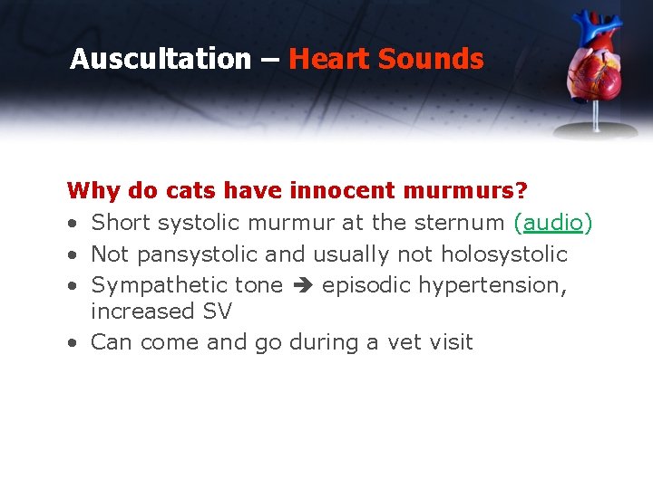 Auscultation – Heart Sounds Why do cats have innocent murmurs? • Short systolic murmur