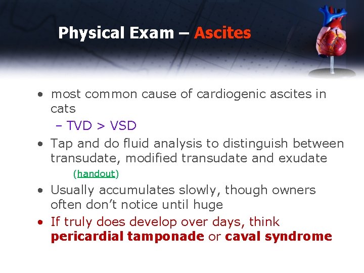 Physical Exam – Ascites • most common cause of cardiogenic ascites in cats –