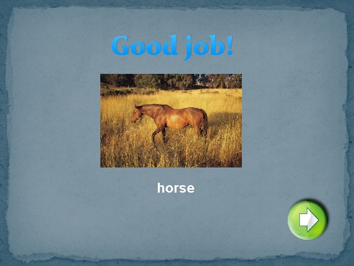 Good job! horse 