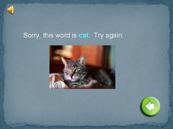 Sorry, this word is cat. Try again. 