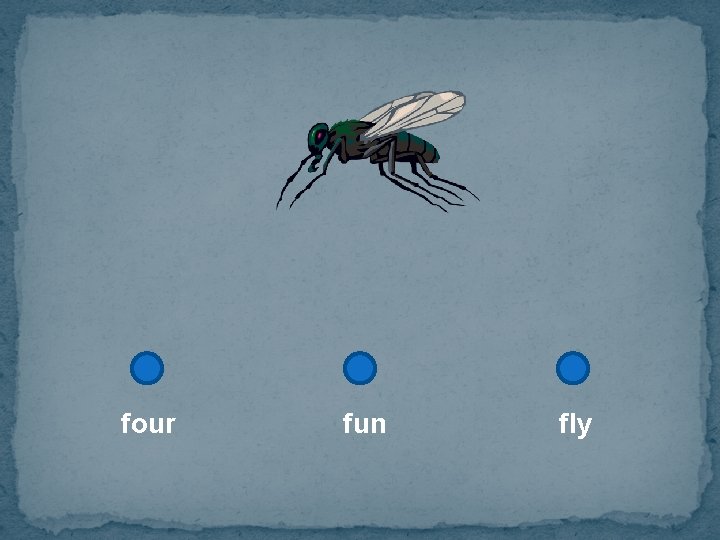 four fun fly 
