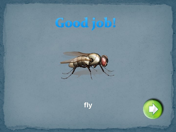 Good job! fly 