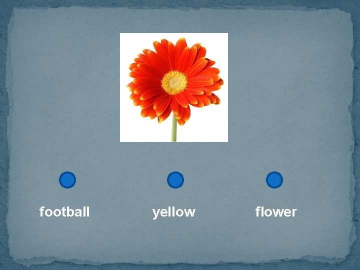 football yellow flower 