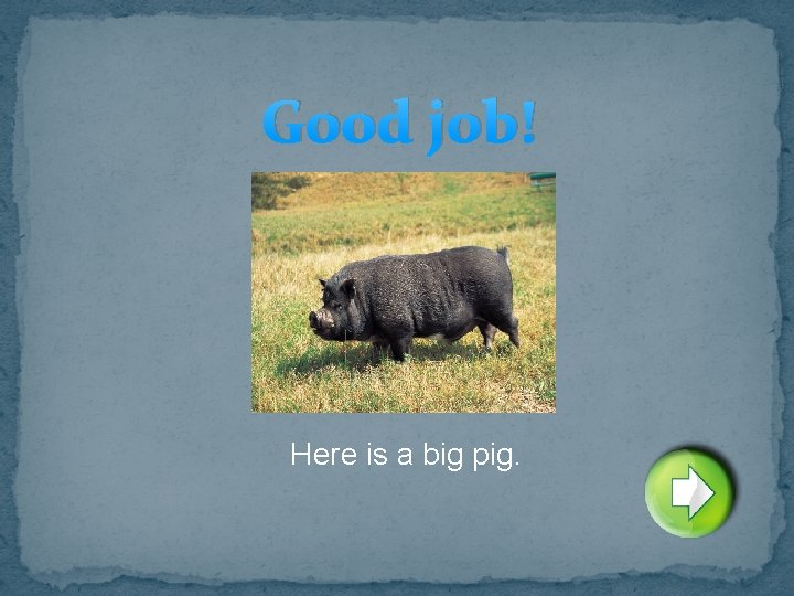 Good job! Here is a big pig. 