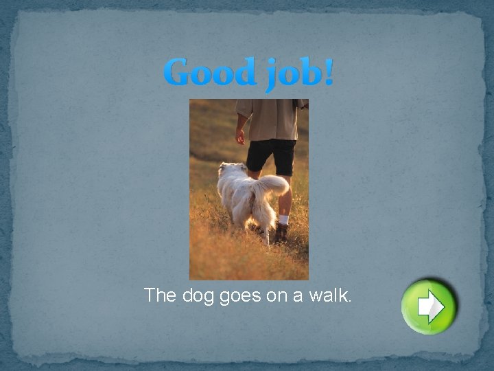 Good job! The dog goes on a walk. 