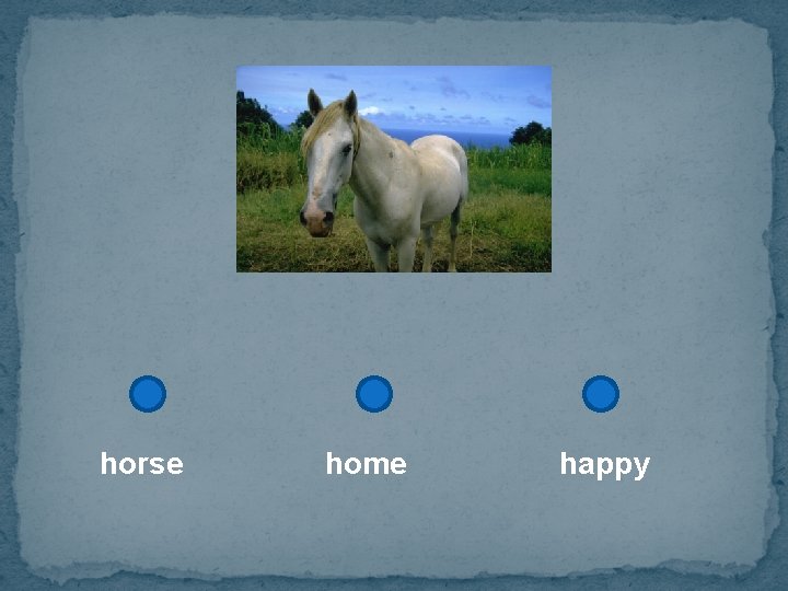 horse home happy 