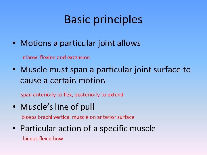 Basic principles • Motions a particular joint allows elbow: flexion and extension • Muscle