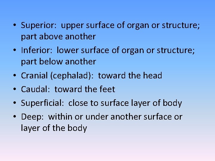 • Superior: upper surface of organ or structure; part above another • Inferior: