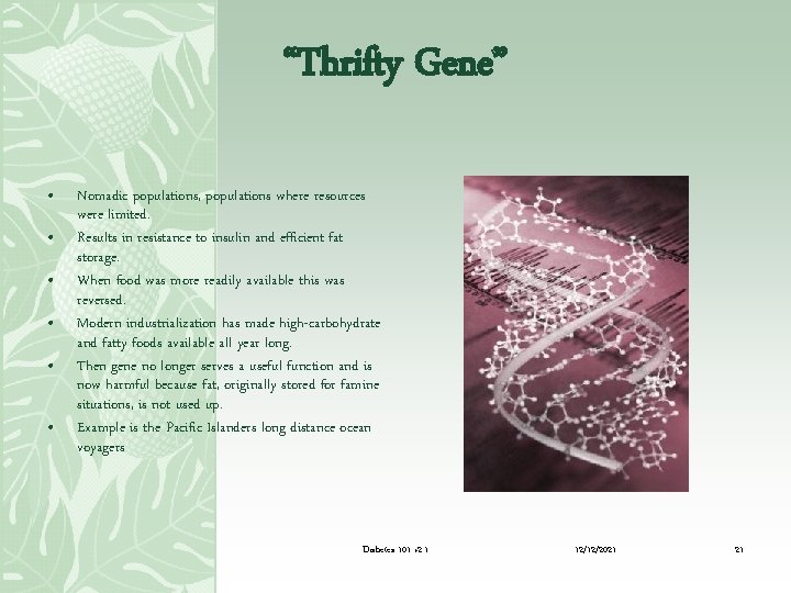 “Thrifty Gene” • • • Nomadic populations, populations where resources were limited. Results in