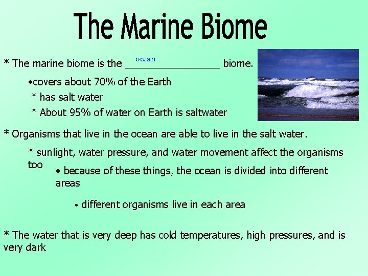 ocean * The marine biome is the _________ biome. • covers about 70% of