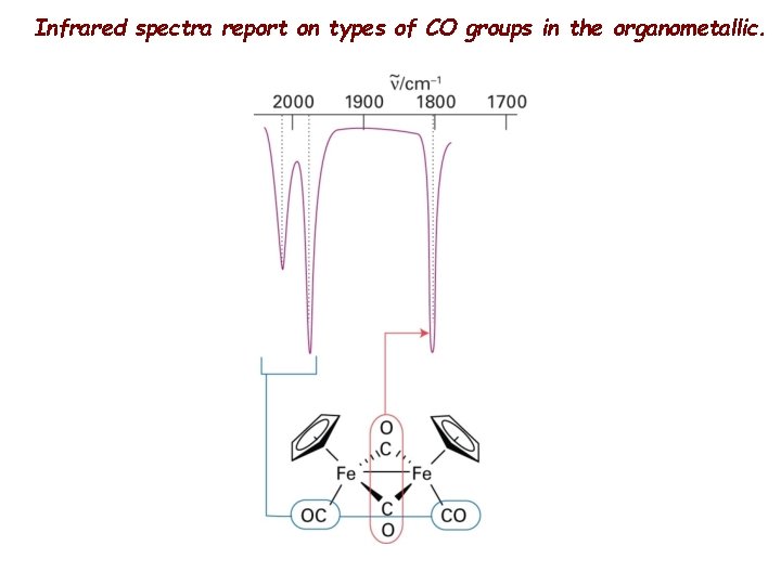 Infrared spectra report on types of CO groups in the organometallic. 