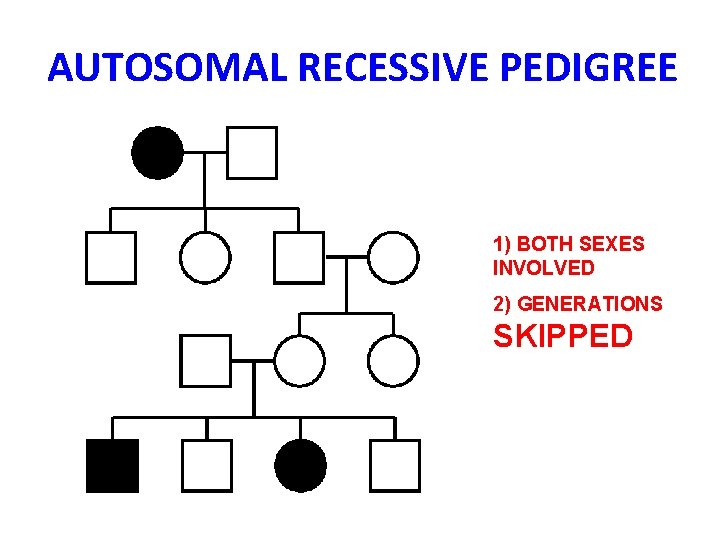 AUTOSOMAL RECESSIVE PEDIGREE 1) BOTH SEXES INVOLVED 2) GENERATIONS SKIPPED 