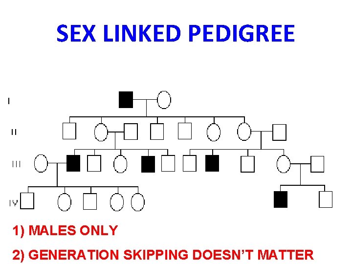 SEX LINKED PEDIGREE 1) MALES ONLY 2) GENERATION SKIPPING DOESN’T MATTER 