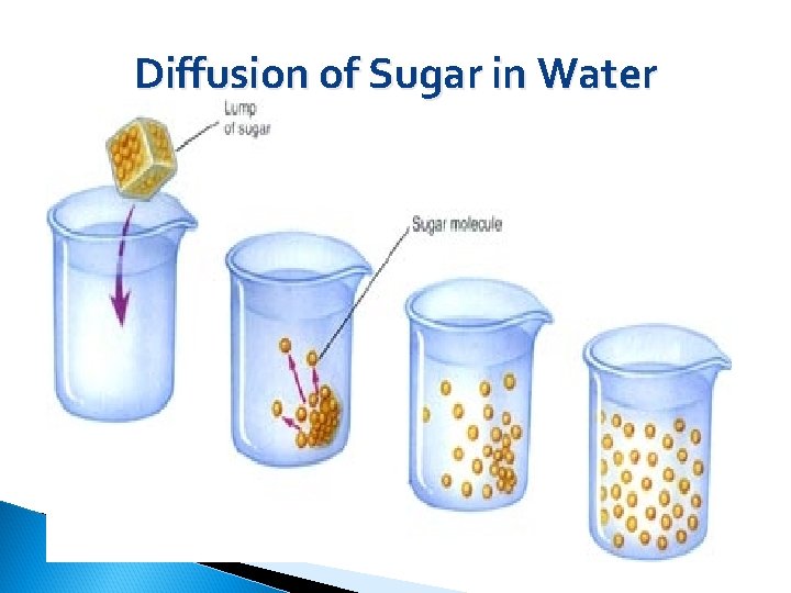 Diffusion of Sugar in Water 