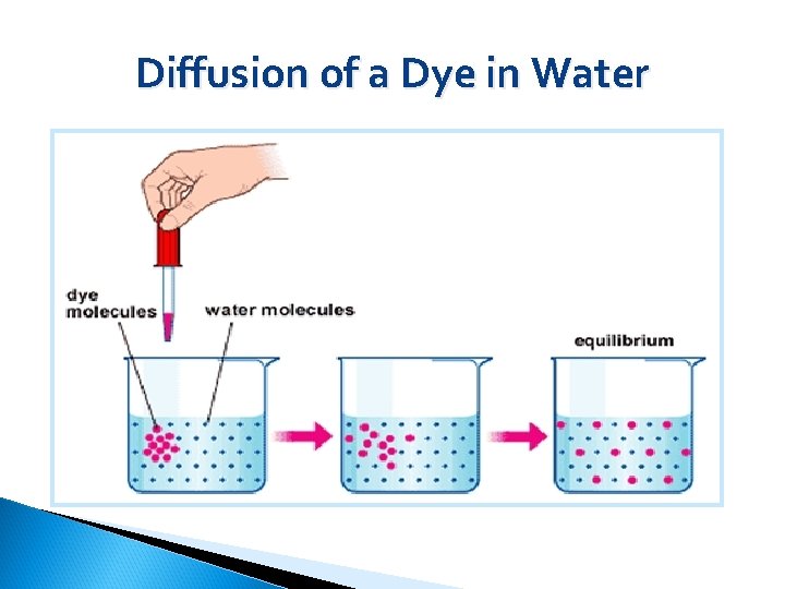 Diffusion of a Dye in Water 