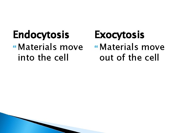 Endocytosis Materials move into the cell Exocytosis Materials move out of the cell 