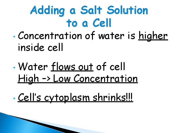 Adding a Salt Solution to a Cell • • • Concentration of water is