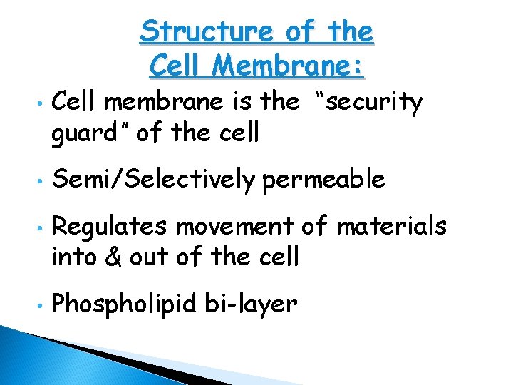 Structure of the Cell Membrane: • • Cell membrane is the “security guard” of