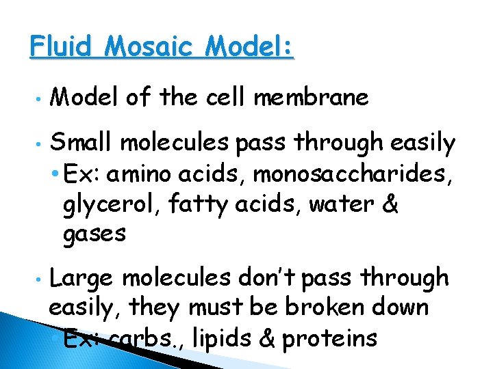 Fluid Mosaic Model: • • • Model of the cell membrane Small molecules pass