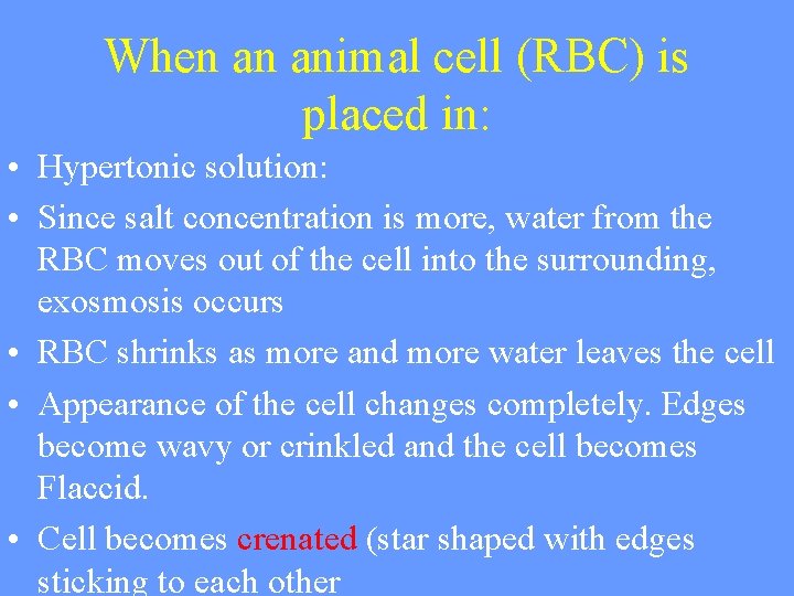 When an animal cell (RBC) is placed in: • Hypertonic solution: • Since salt