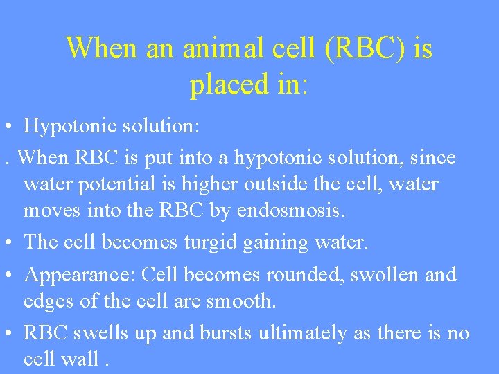 When an animal cell (RBC) is placed in: • Hypotonic solution: . When RBC