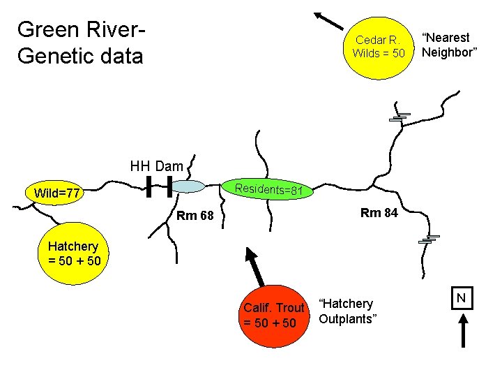 Green River. Genetic data Cedar R. Wilds = 50 “Nearest Neighbor” HH Dam Residents=81