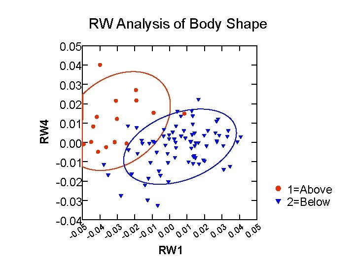 RW Analysis of Body Shape 0. 05 0. 04 0. 03 RW 4 0.