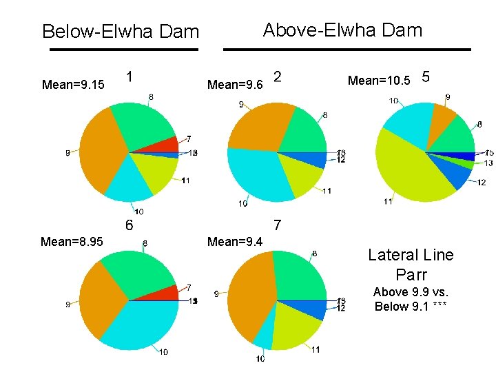 Below-Elwha Dam Above-Elwha Dam Mean=9. 15 Mean=9. 6 Mean=8. 95 Mean=9. 4 Mean=10. 5