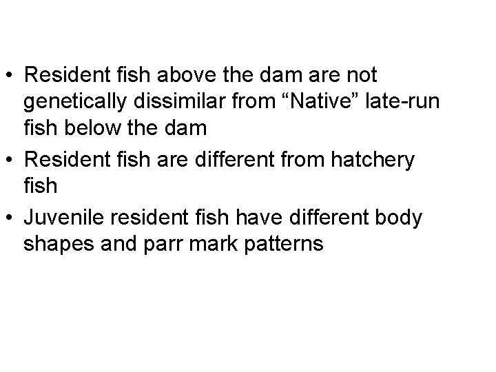  • Resident fish above the dam are not genetically dissimilar from “Native” late-run