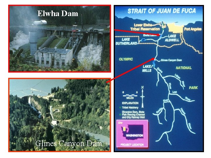 Elwha Dam Glines Canyon Dam 