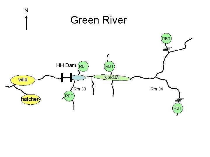 N Green River RBT HH Dam RBT residual wild Rm 68 hatchery RBT Rm