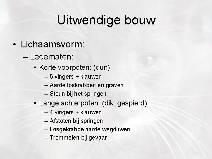 Uitwendige bouw • Lichaamsvorm: – Ledematen: • Korte voorpoten: (dun) – 5 vingers +