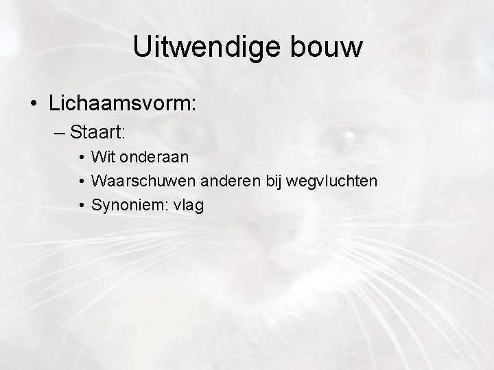 Uitwendige bouw • Lichaamsvorm: – Staart: • Wit onderaan • Waarschuwen anderen bij wegvluchten