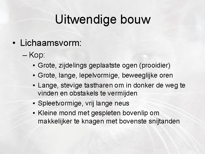 Uitwendige bouw • Lichaamsvorm: – Kop: • Grote, zijdelings geplaatste ogen (prooidier) • Grote,