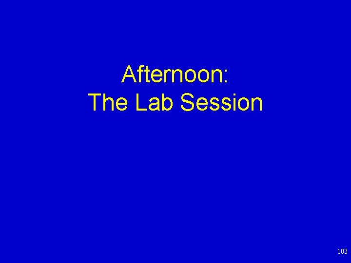 Afternoon: The Lab Session 103 