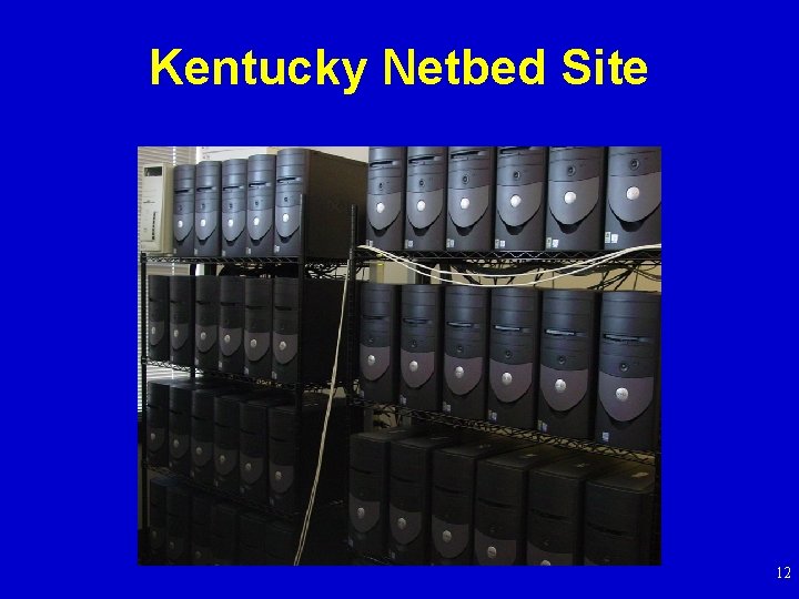 Kentucky Netbed Site 12 