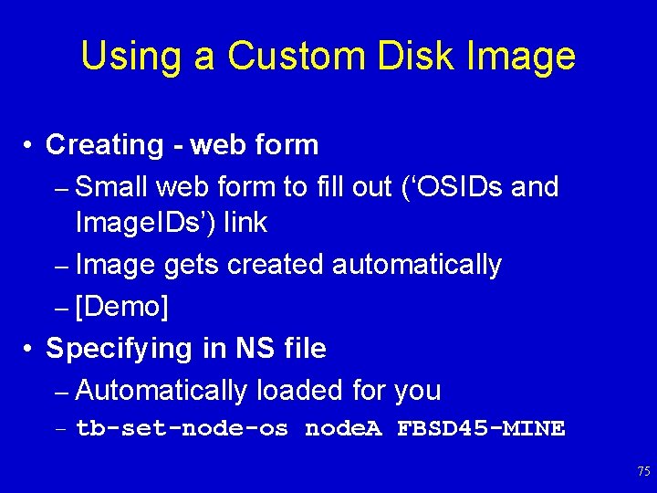 Using a Custom Disk Image • Creating - web form – Small web form