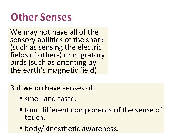 Other Senses We may not have all of the sensory abilities of the shark
