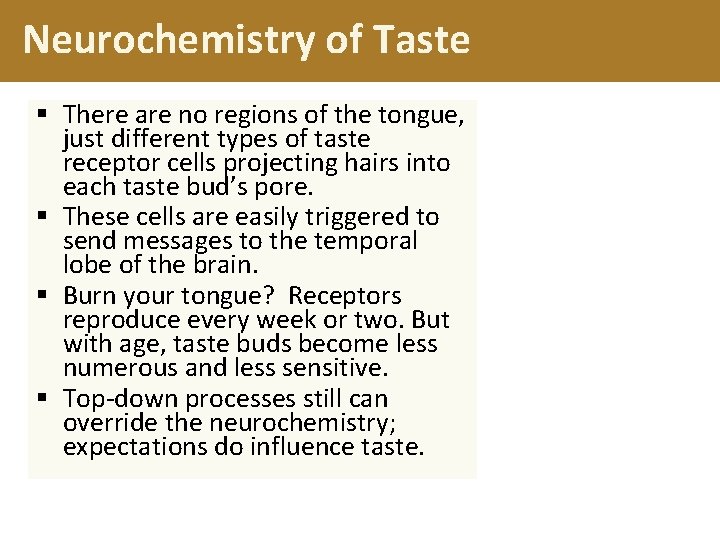 Neurochemistry of Taste § There are no regions of the tongue, just different types
