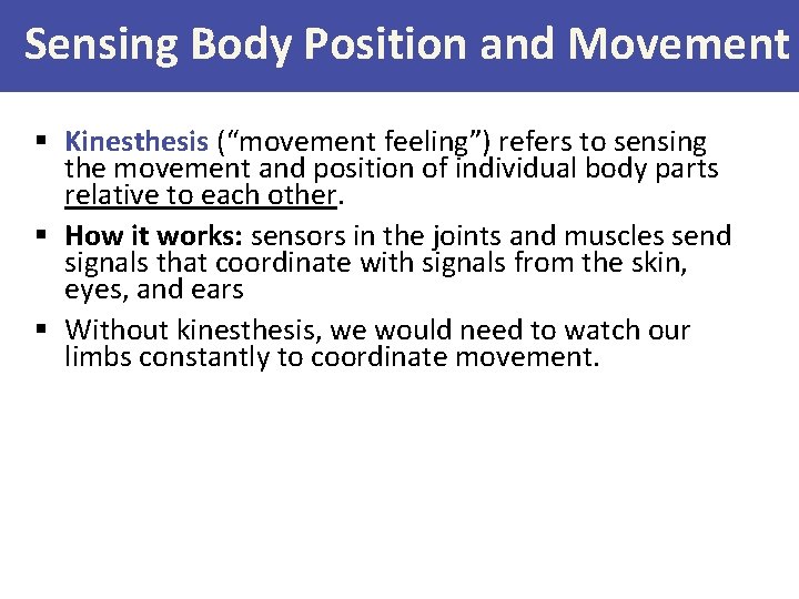 Sensing Body Position and Movement § Kinesthesis (“movement feeling”) refers to sensing the movement