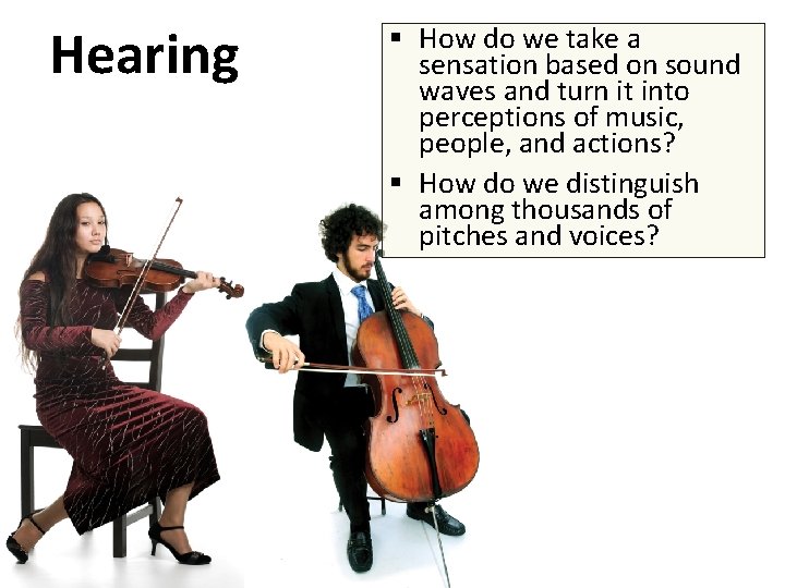 Hearing § How do we take a sensation based on sound waves and turn