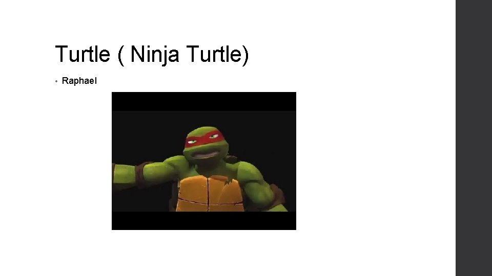 Turtle ( Ninja Turtle) • Raphael 