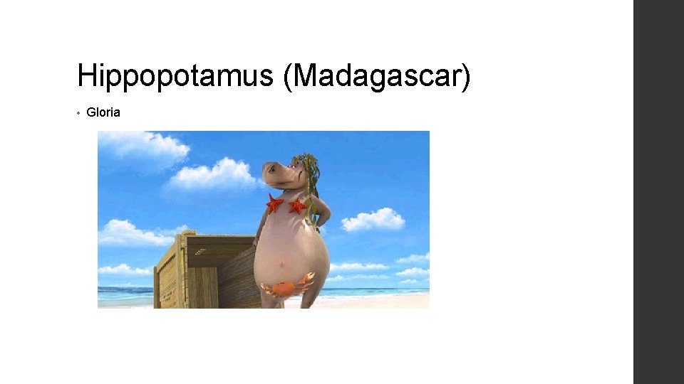 Hippopotamus (Madagascar) • Gloria 