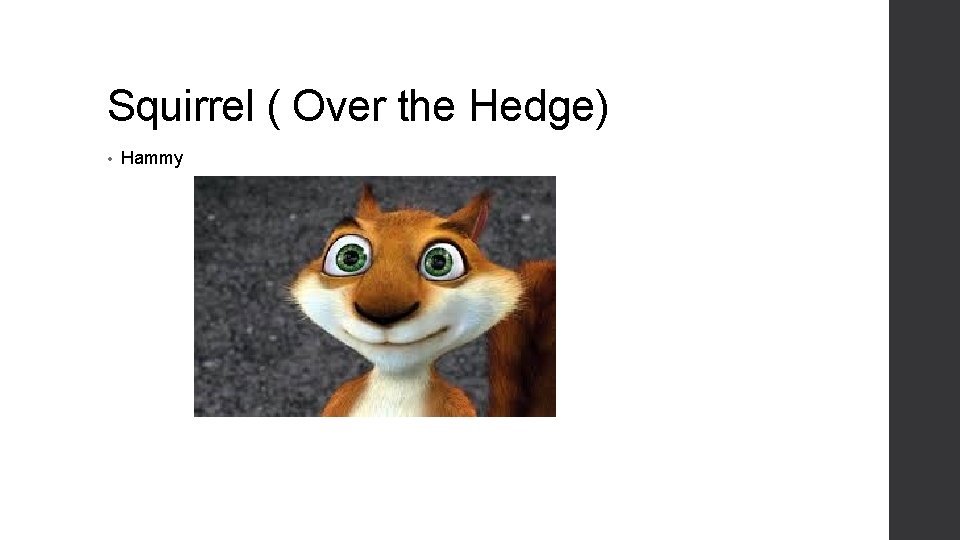 Squirrel ( Over the Hedge) • Hammy 