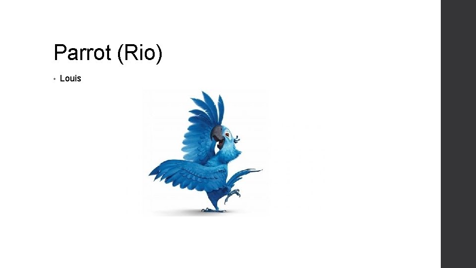 Parrot (Rio) • Louis 