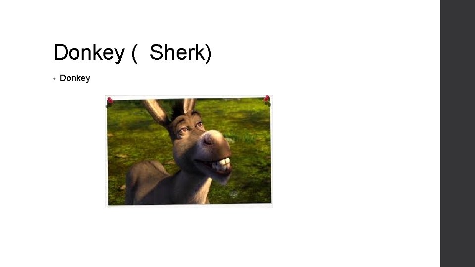 Donkey ( Sherk) • Donkey 