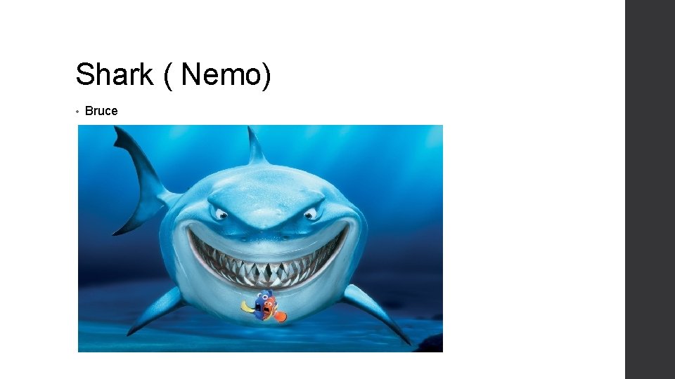 Shark ( Nemo) • Bruce 