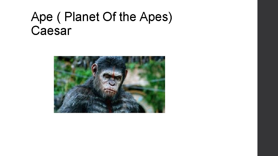 Ape ( Planet Of the Apes) Caesar 